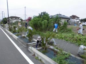 サンプル画像1