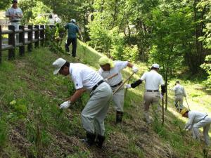 6月17日 二区自治会による「三十三観音史跡公園」美化活動02