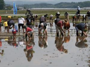 5月17日 グリーンツーリズム事業02