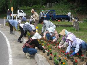 5月末～6月初旬フラワーロード事業（花いっぱい運動）01