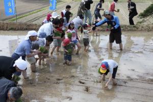 5月15日 グリーンツーリズム事業02