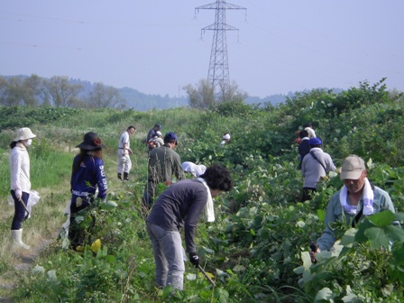 06三城目地区河川クリーンアップ作戦02