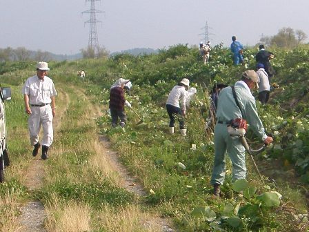 07三城目地区河川クリーンアップ作戦03