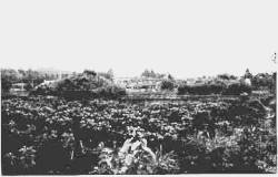 rÕQ02