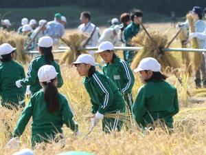 10月19日田んぼの学校03