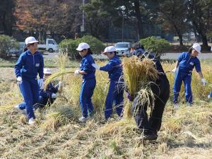 10月19日田んぼの学校04