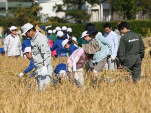 10月19日田んぼの学校05