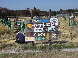 10月19日田んぼの学校06