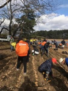 28.12.10区長会大池公園植栽４