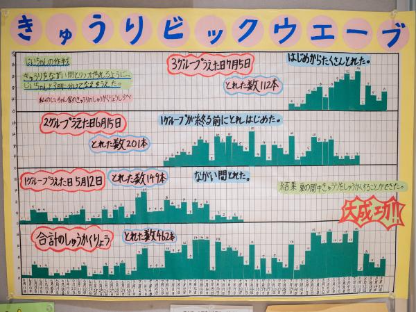 きゅうりビックウェーブ