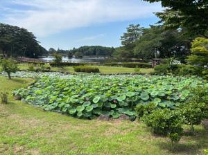 大賀6/29
