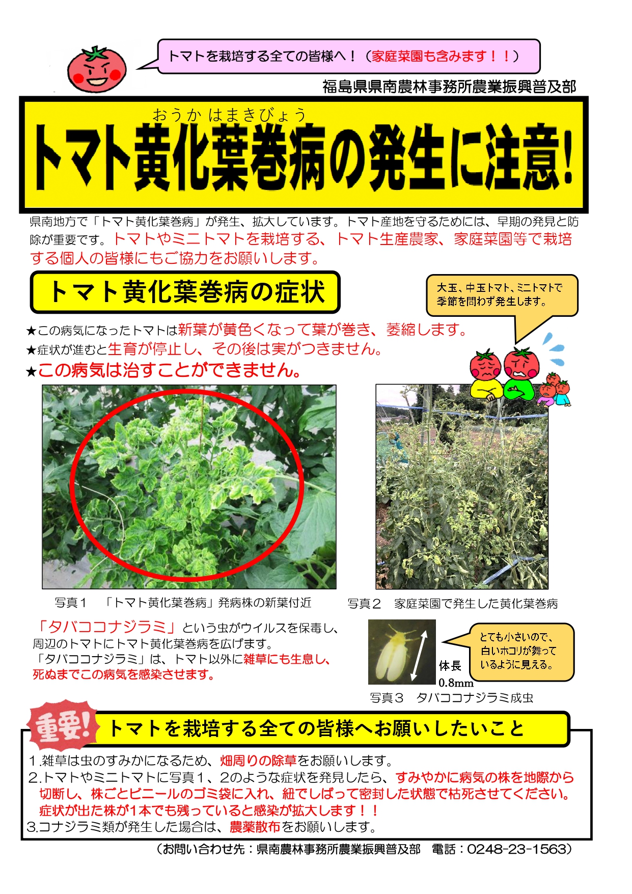 トマト黄化葉巻病の発生に注意！