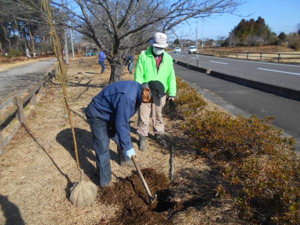 ��掩����(1)