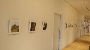 R8.7KOKOTTO展示6