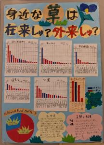 【2部】身近な草は在来しゅ?外来しゅ?
