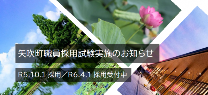 採用情報